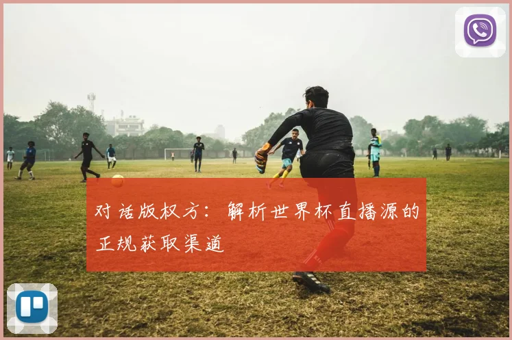 对话版权方：解析世界杯直播源的正规获取渠道