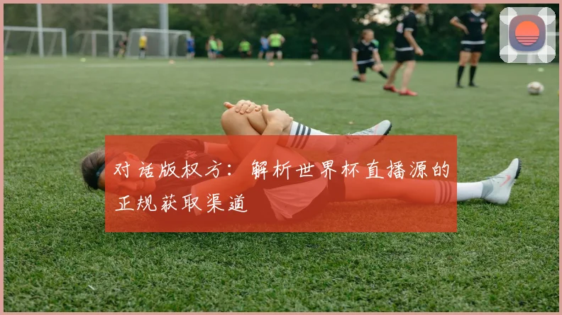 对话版权方：解析世界杯直播源的正规获取渠道