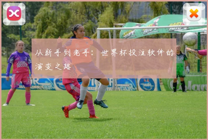 从新手到老手:世界杯投注软件的演变之路