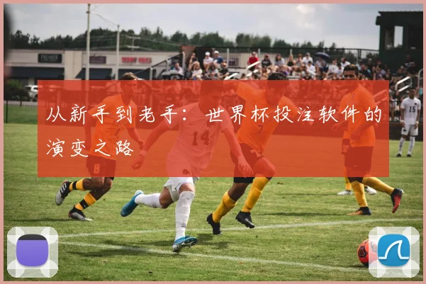 从新手到老手:世界杯投注软件的演变之路