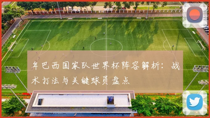 年巴西国家队世界杯阵容解析:战术打法与关键球员盘点