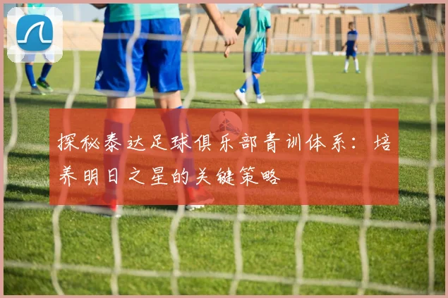 探秘泰达足球俱乐部青训体系：培养明日之星的关键策略